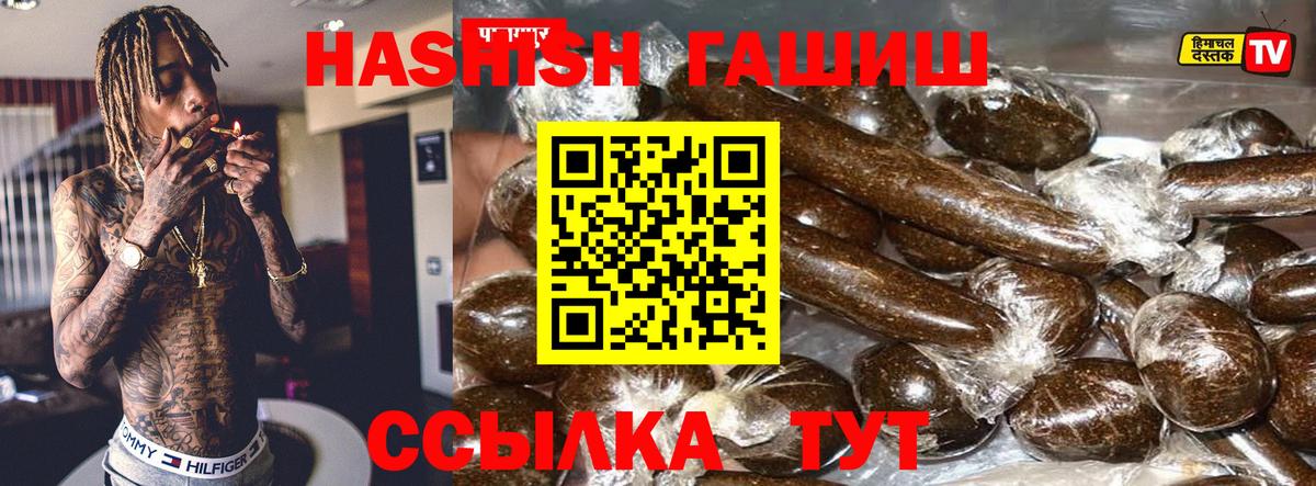 ГАШ Premium Советск