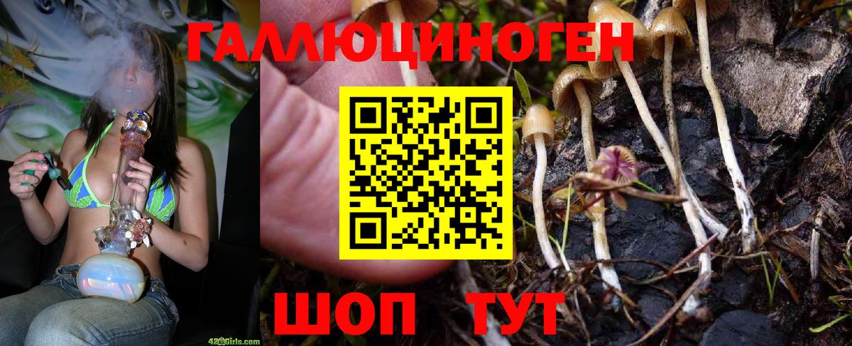 Галлюциногенные грибы Cubensis Советск